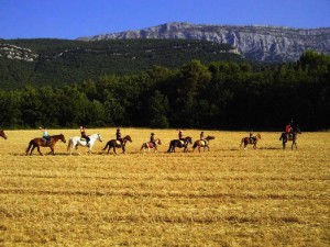 team building militaire