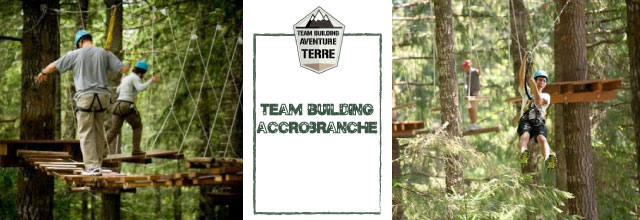 Team-building-accrobranche