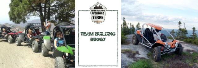 Team-building-buggy